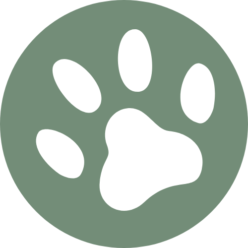 sallanderconsulting.com